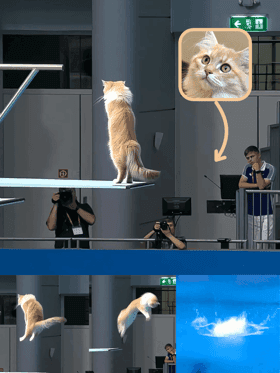 Example Animal Olympics AI video concept featuring animals competing in fun challenges